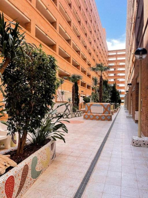 Torremar M Apartment *